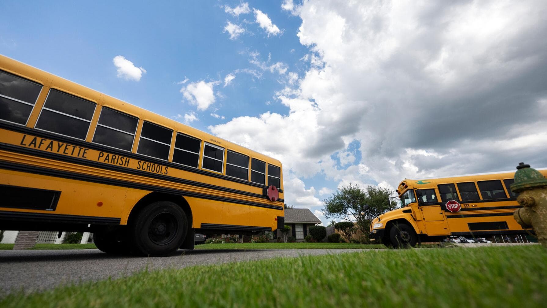 School Buses in Lafayette